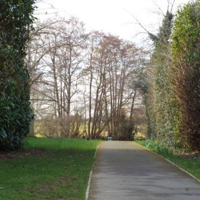 Willow Park